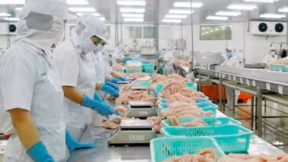 Doanh nghiệp lưu ý khi xuất khẩu vào các thị trường khó tính
