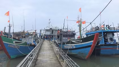 Ngư dân miền Trung nỗ lực vươn khơi trong trạng thái “bình thường mới”