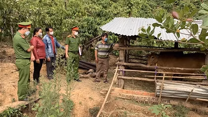 Hiệu quả từ mô hình “5+1"