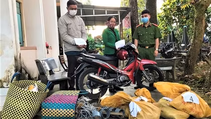 16 con mèo "sập bẫy trộm"