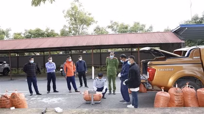 Bắt một Phó giám đốc doanh nghiệp vận chuyển hơn 1 tấn chất độc xyanua