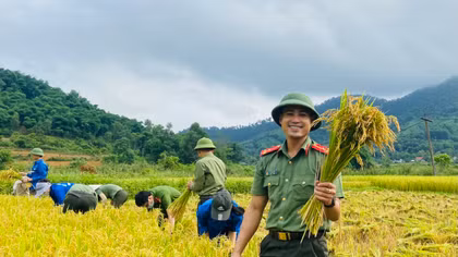 Công an giúp dân gặt lúa chạy mưa lốc