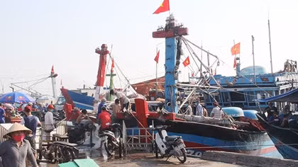 Ngư dân bám biển trong cơn “bão giá” nhiên liệu