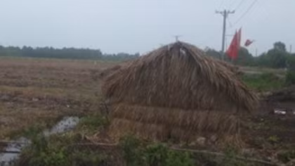5 người thương vong sau chầu nhậu tại chòi canh đất rừng