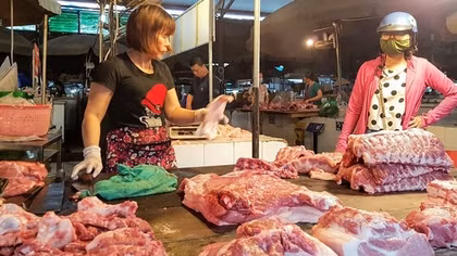 Vì sao giá thịt lợn tăng cao?