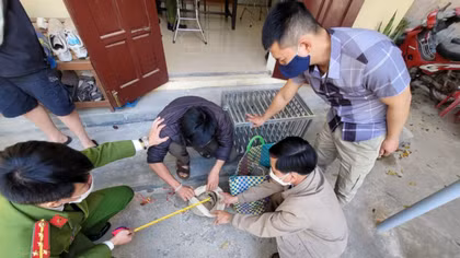 Bị bắt khi đang vận chuyển trái phép 4 cá thể tê tê