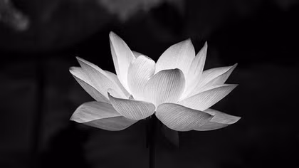 Trung tướng Lê Quốc Sự từ trần