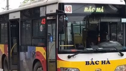 Xe buýt Bắc Hà xin ngừng 5 tuyến buýt vì… hết tiền