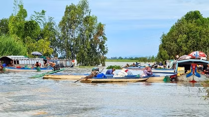 Sản xuất nông nghiệp bền vững cho vùng đồng bằng sông Cửu Long