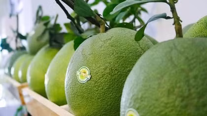 Chuyện của tư duy