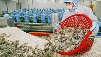 Xuất khẩu thủy sản của Việt Nam chạm mốc 1,5 tỷ USD trong 2 tháng đầu năm