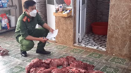 Đề nghị truy tố người biến thịt heo nái thành “thịt nai gác bếp”