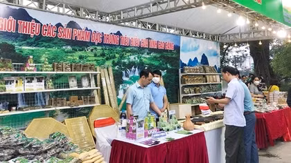 Để sản phẩm vùng miền tìm đến người dùng