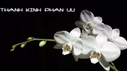 Lời chia buồn