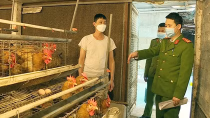 Phòng cháy chữa cháy tại các trang trại chăn nuôi