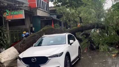 Mưa lớn gây thiệt hại nghiêm trọng tại miền Trung