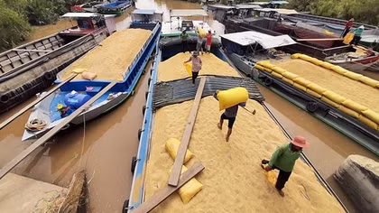 Châu thổ Cửu Long trước thách thức và cơ hội phát triển