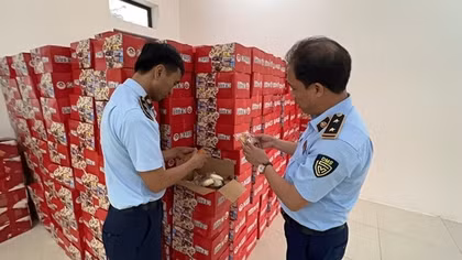 Tạm giữ hàng nghìn thùng bánh bông lan nghi nhập lậu