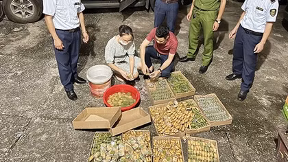 Cẩn trọng với bánh không rõ xuất xứ