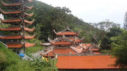 Tà Cú mùa hoa vông