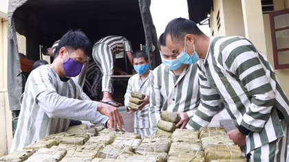 Tìm lại đường xuân