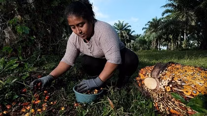 Honduras, thiên trường ca của đất và máu