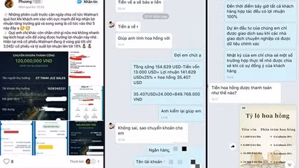 Chơi tiền ảo, mất tiền thật