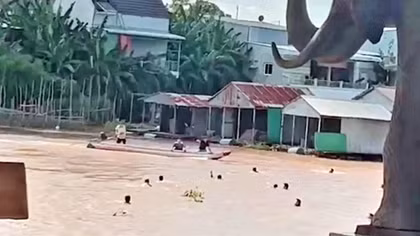 Gặp ân nhân của hàng chục người bơi qua sông biên giới trốn khỏi casino