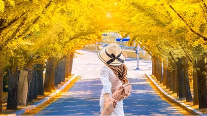 Vi vu xứ Hàn ngắm lá phong mùa thu với thẻ tín dụng VIB