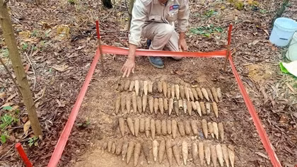 80 quả đạn pháo còn nguyên ngòi nổ nằm sát mặt đất