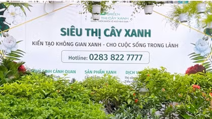 Phát triển bền vững hướng đến kinh tế xanh