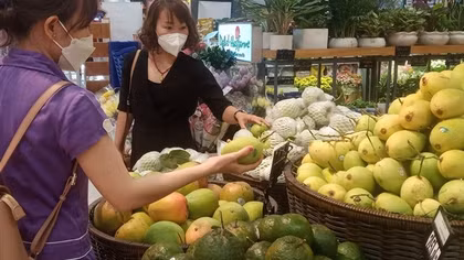 Thích ứng các rào cản thương mại để mở rộng xuất khẩu