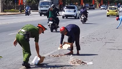 Hình ảnh đẹp chiến sỹ Công an thu gom cá giúp người dân