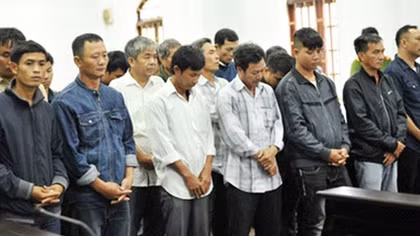 Triệt phá đường dây khai thác gỗ trái phép ở Vườn quốc gia Yok Đôn (kỳ 6)