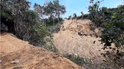 Đất rừng bị san ủi trái phép nhưng xã không hay biết