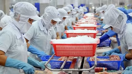Tìm cơ hội trong xuất khẩu thủy sản
