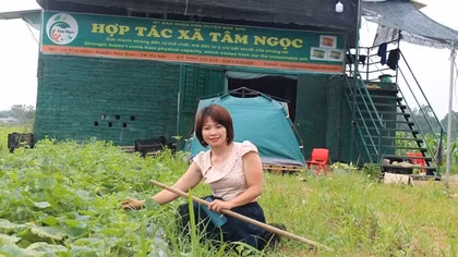 Bí mật cánh đồng hoang