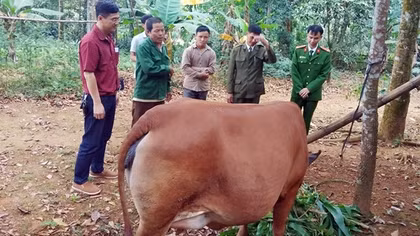 Dòng họ “Quan Be” tự quản an ninh trật tự