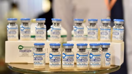 Vì sao lợn chết hàng loạt sau tiêm vaccine dịch tả lợn châu Phi