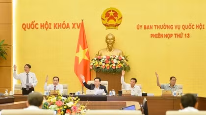 Chuyển hơn 4.400 ha rừng, đất rừng, đất trồng lúa xây dựng cao tốc Bắc - Nam phía Đông