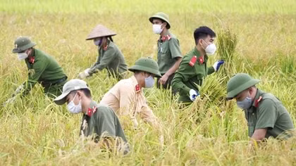 Chống dịch - Thơ và sứ mệnh nhà thơ