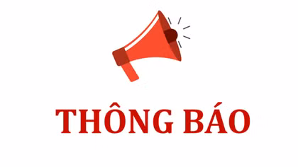 Thông báo tìm chủ sở hữu tang vật vi phạm hành chính