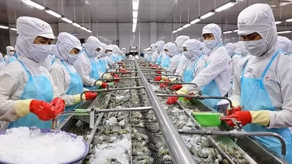 Xuất khẩu thuỷ sản sang thị trường Nga tăng mạnh