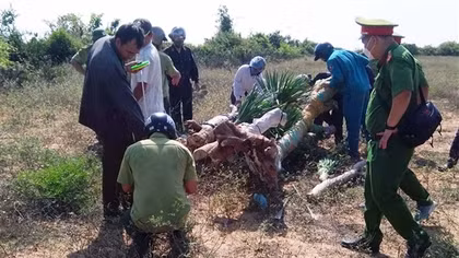 Bắt hai "lâm tặc" tấn công nhân viên bảo vệ rừng