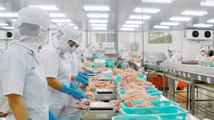 Xuất khẩu thủy sản tăng mạnh ở thị trường trọng điểm