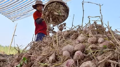 Thực phẩm xuất khẩu sang Na Uy cần chú ý kiểm tra về an toàn thực phẩm