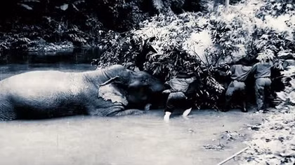 “Con đường đã chọn” - bộ phim đặc sắc chào mừng Quốc khánh