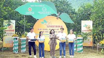 Bài 1: Thương mại điện tử tăng trưởng thần kỳ