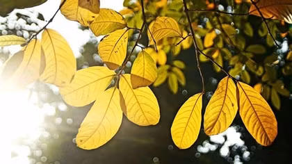 Hà Nội ngày nắng hanh, đêm rét