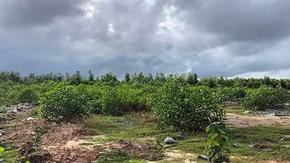 Hàng loạt sai phạm về bảo vệ môi trường trong khai thác khoáng sản, sử dụng đất nông lâm trường tại Ninh Bình